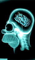 HOMER�S BRAIN